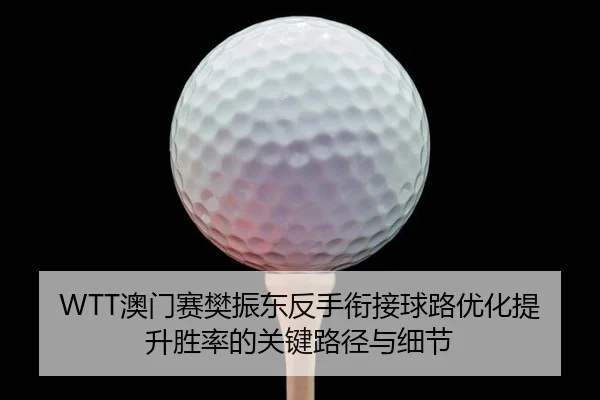 WTT澳门赛樊振东反手衔接球路优化提升胜率的关键路径与细节